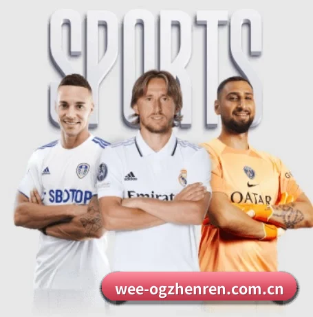 五大服务分区,信息按项目分类 - ogzhenren